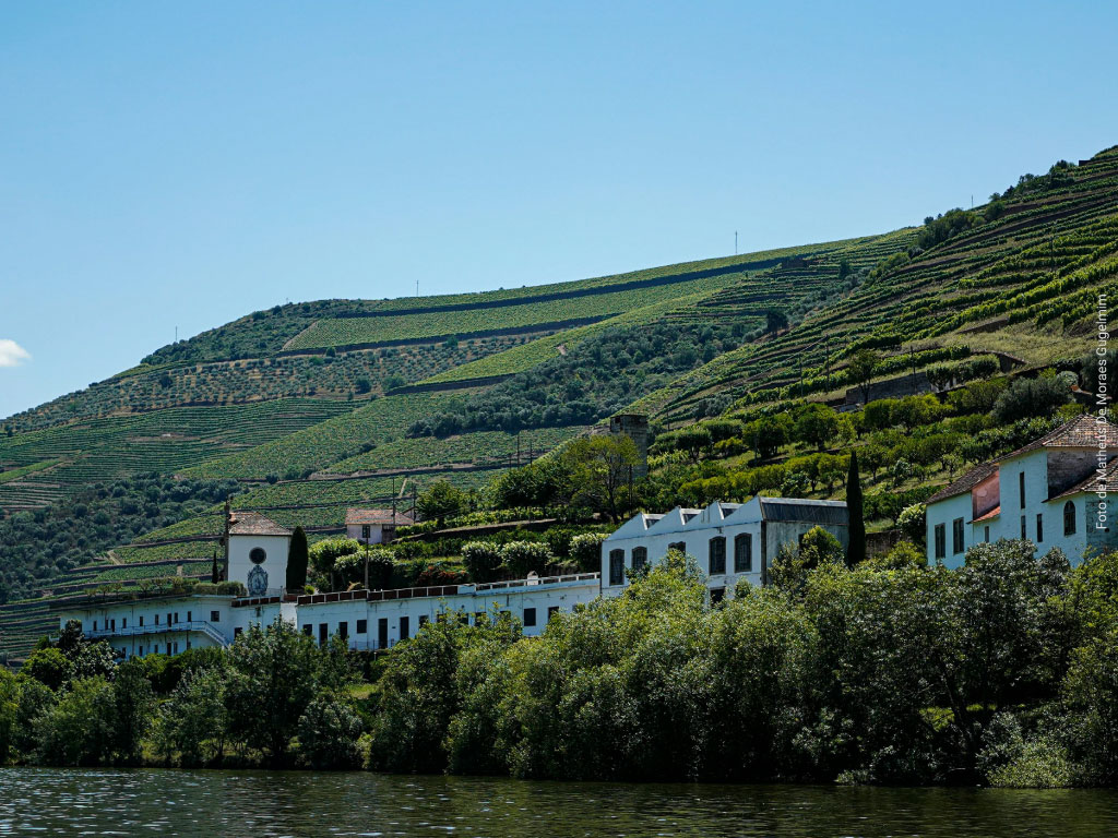 Imobiliária digital em Portugal com atendimento humanizado